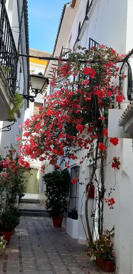 Apartamento Precioso y acogedor ático old town Marbella