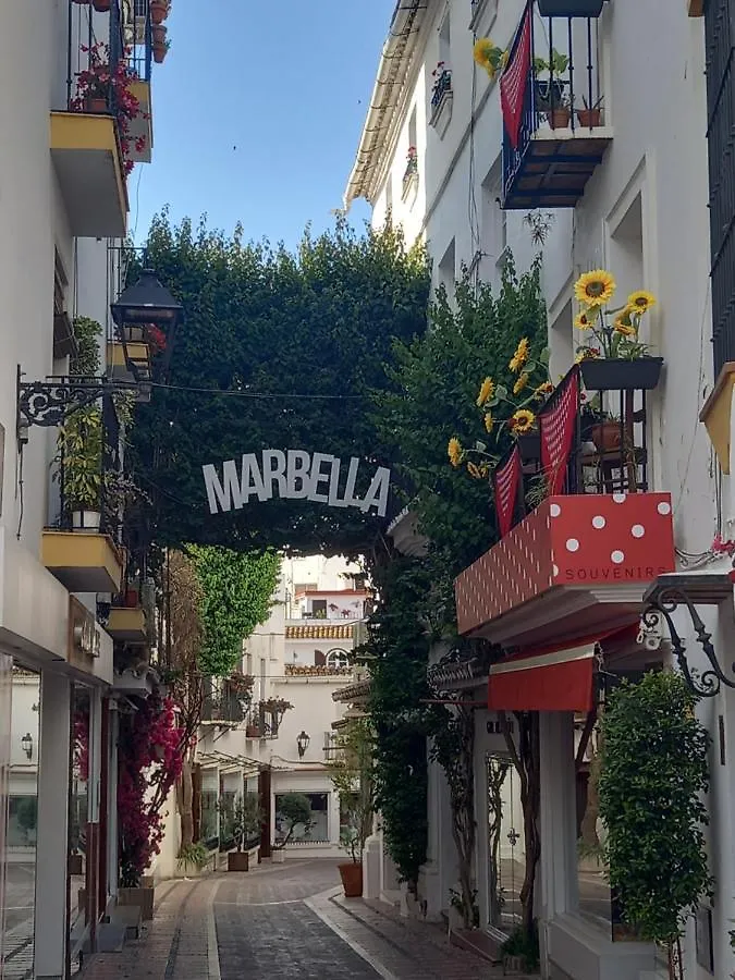 Apartamento Precioso y acogedor ático old town Marbella