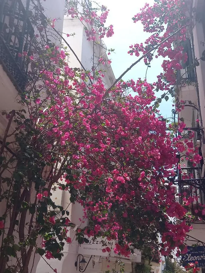 Apartamento Precioso y acogedor ático old town Marbella España